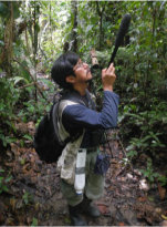 recording wildlife in amazonian ecuador